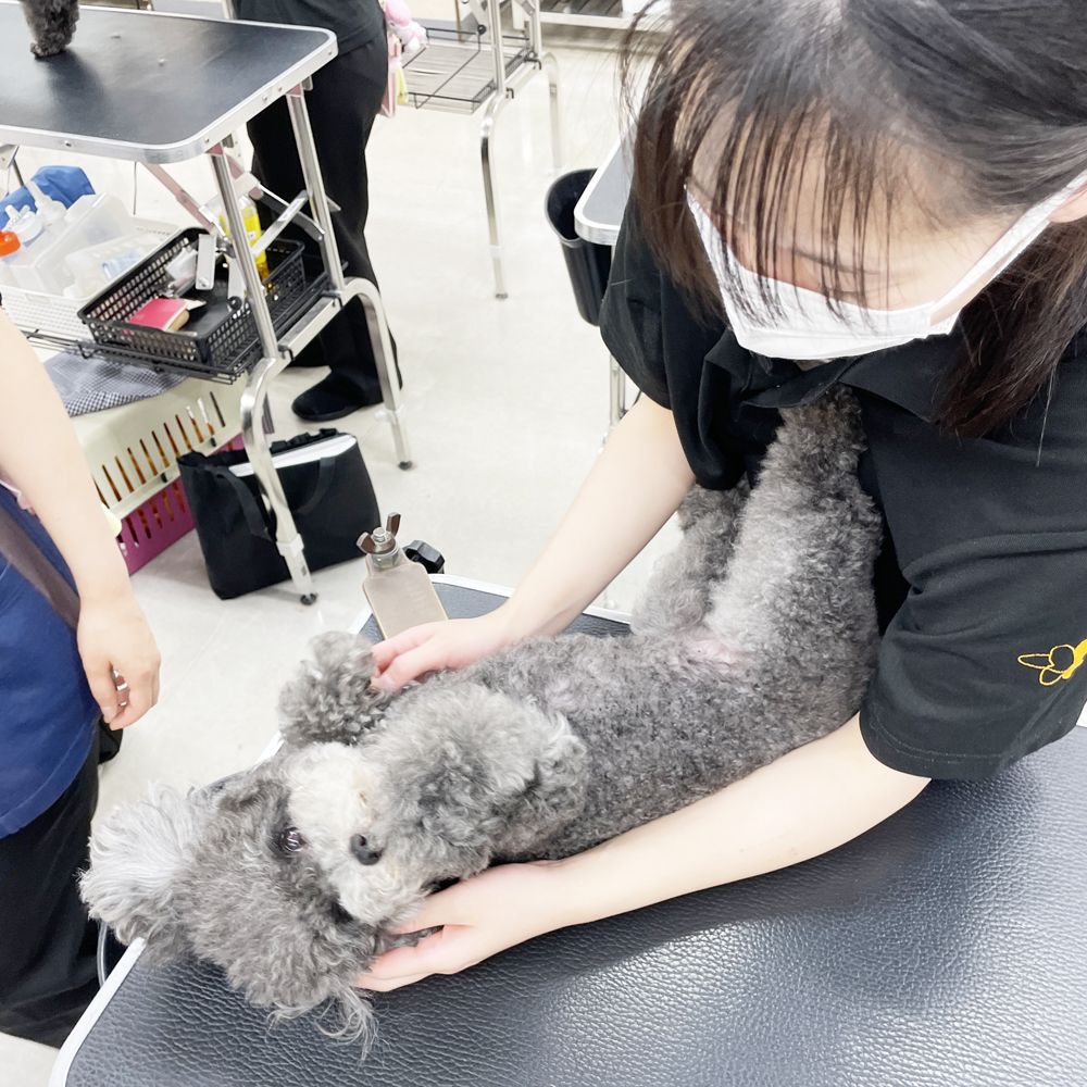 ☆スキルアッププログラム☆